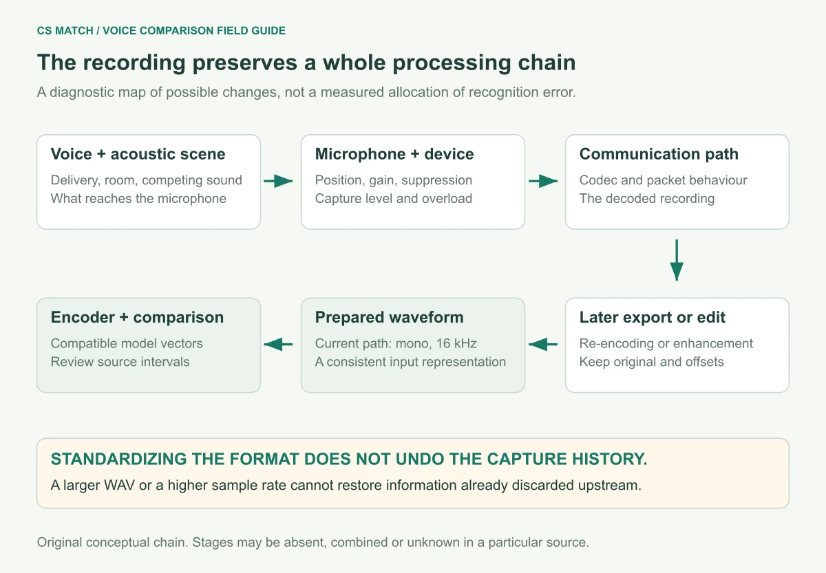 Conceptual recording chain separates voice and room, microphone and device processing, network codec and later exports before the prepared waveform reaches the encoder