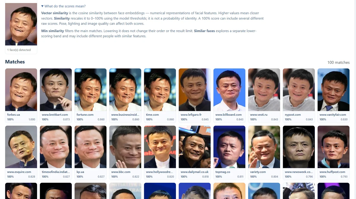 Main face-search matches arranged in cards with source domains, percentage scores and vector similarity